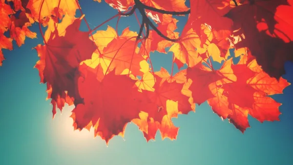 Historia del apellido Villafraz y su legado familiar